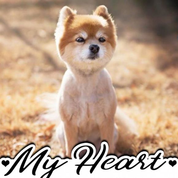 Meet your Posher, Laura - Picture 8 of 9